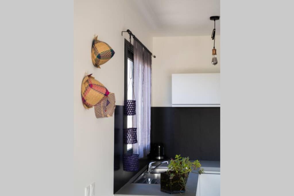 Ti-Punch T3 Climatise Manapany Les Bains Apartment Exterior foto