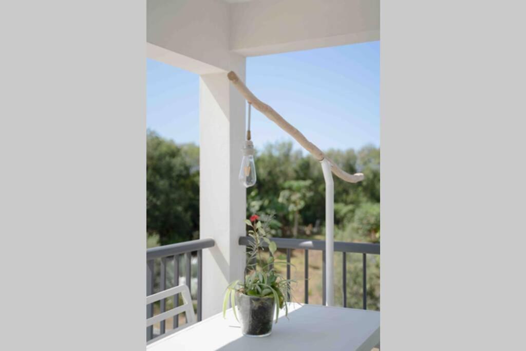 Ti-Punch T3 Climatise Manapany Les Bains Apartment Exterior foto